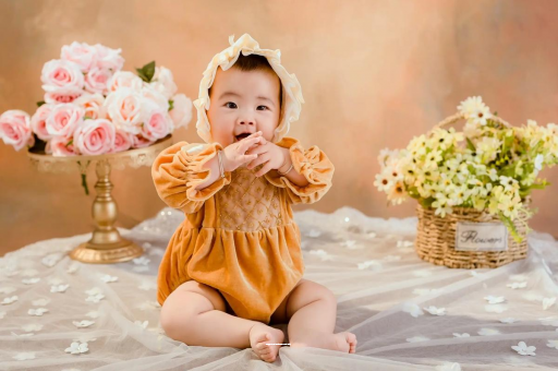 海安好孕廊坊助孕公司名单，预防低价陷阱精选